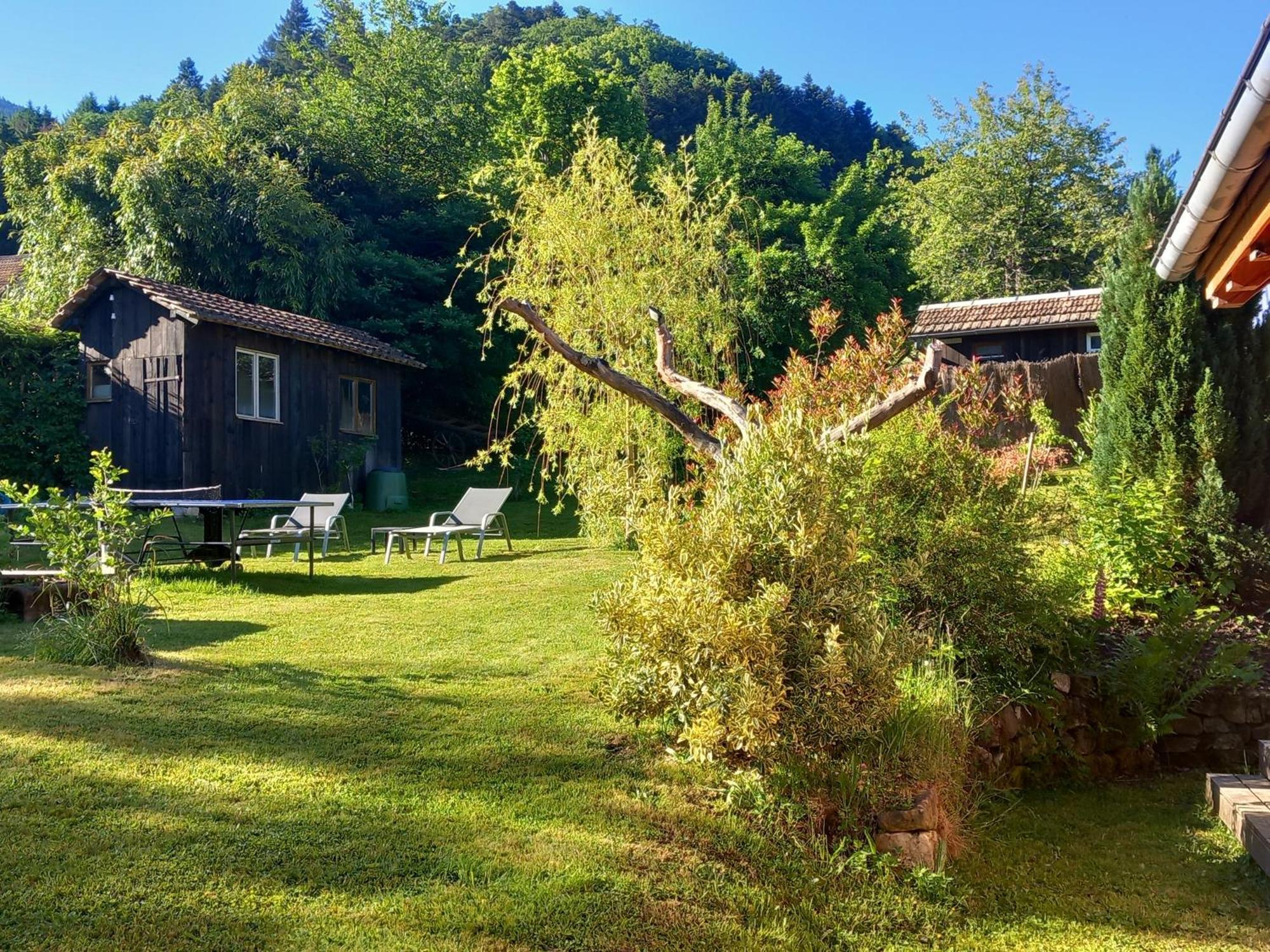 Apartmán Cocon De St Pierre Sainte-Marie-aux-Mines Exteriér fotografie