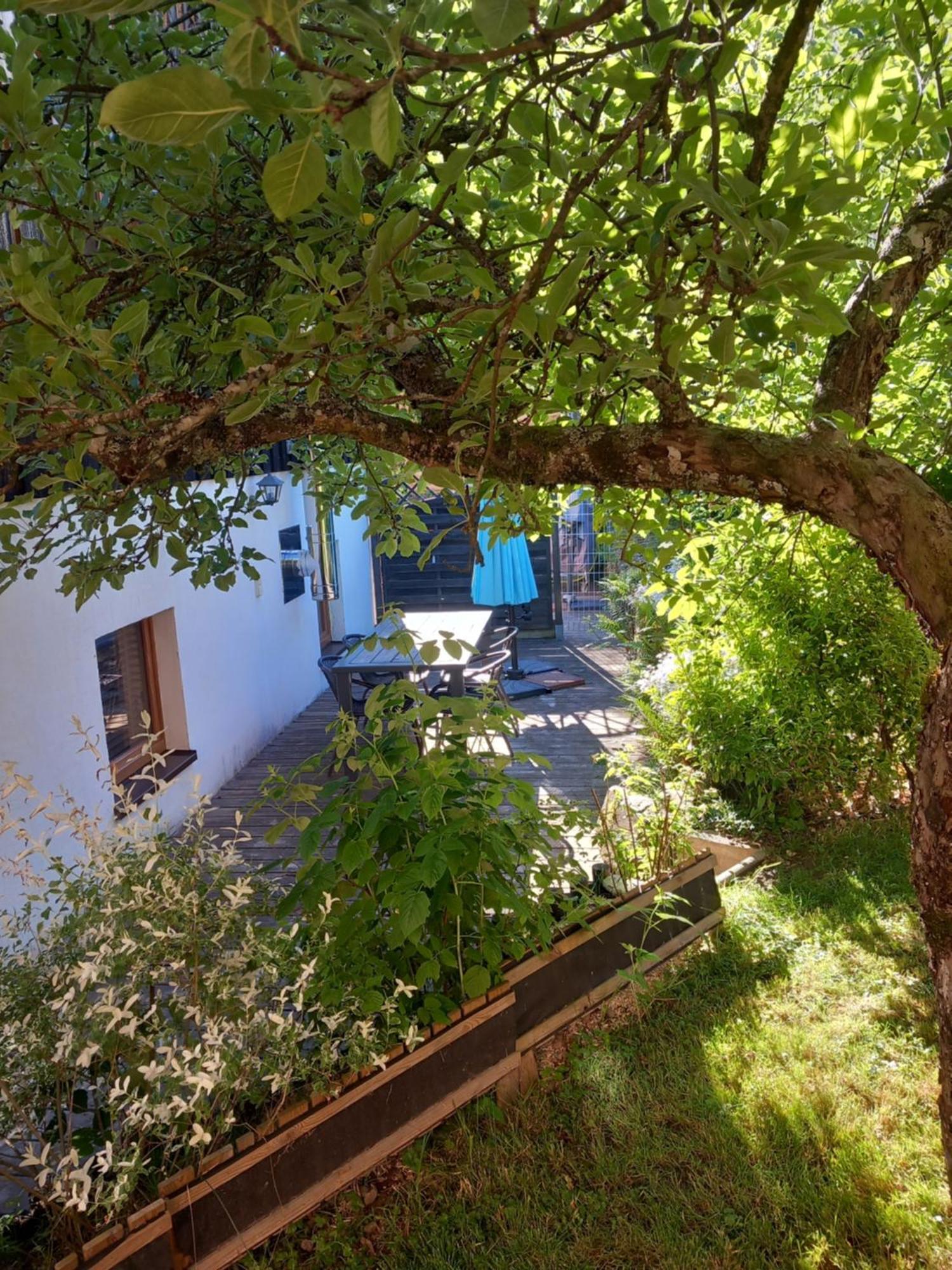 Apartmán Cocon De St Pierre Sainte-Marie-aux-Mines Exteriér fotografie